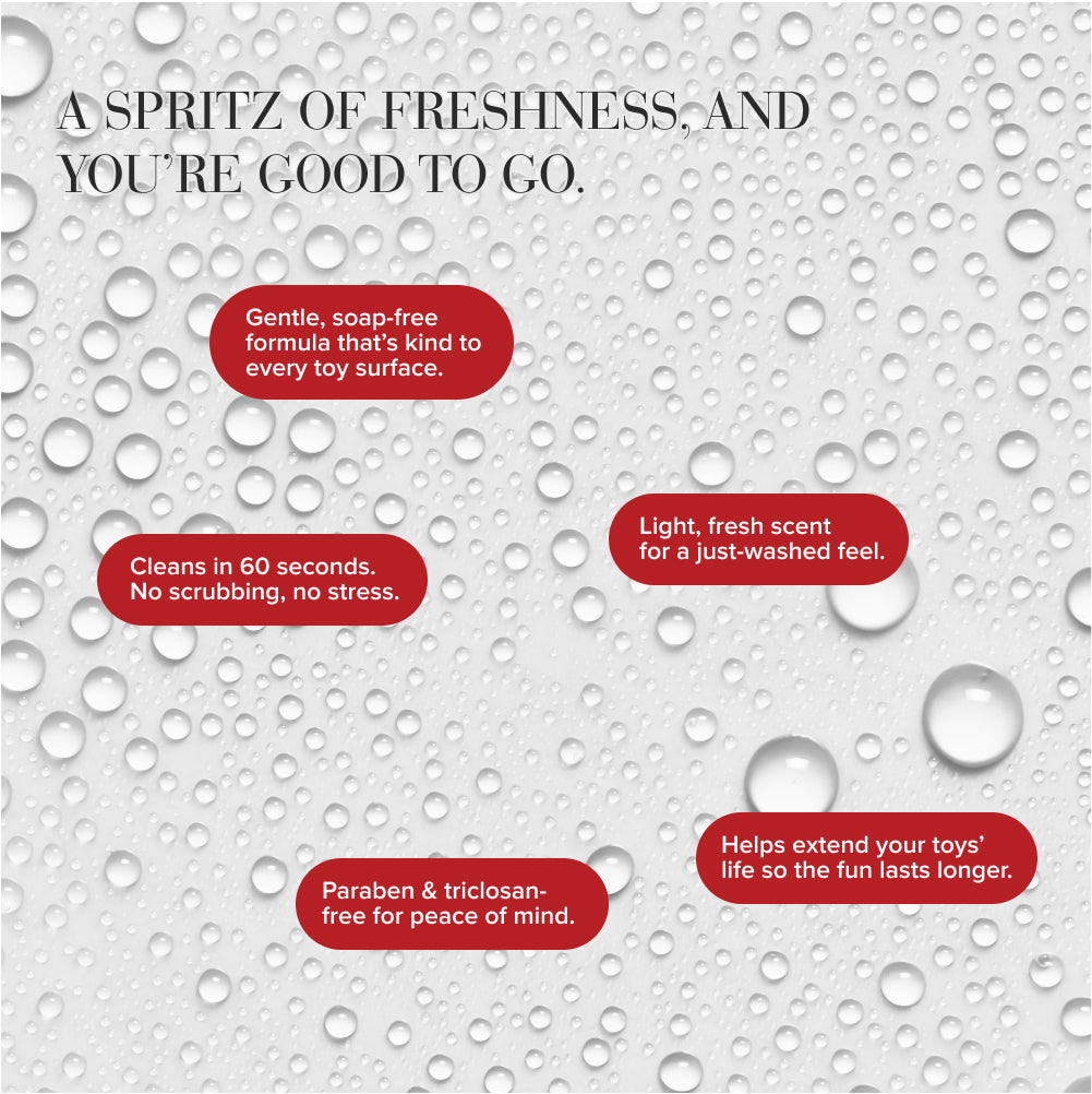 Misting Toy Cleaner