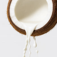 Coconut Hybrid Original