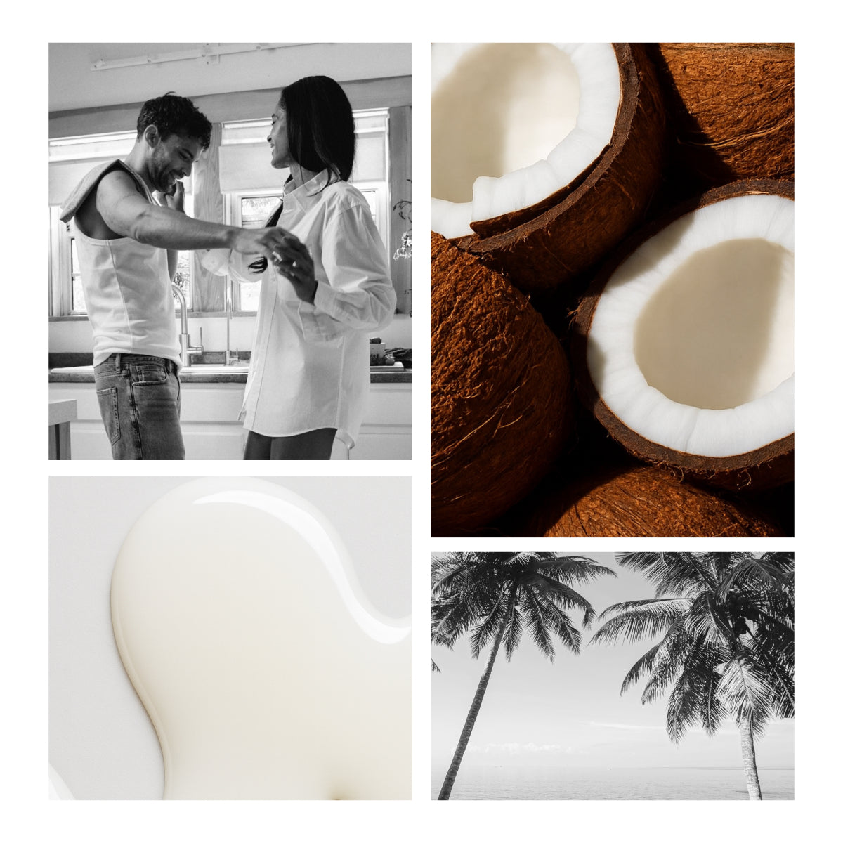 Coconut Hybrid Original