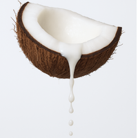 Coconut Hybrid Cooling