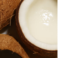 Coconut Hybrid Warming